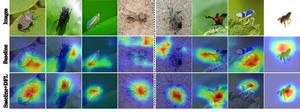 Causality-Inspired Method Boosts Crop Pest Recognition