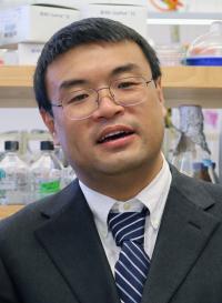 Dr. Zhicheng Dou, Clemson University