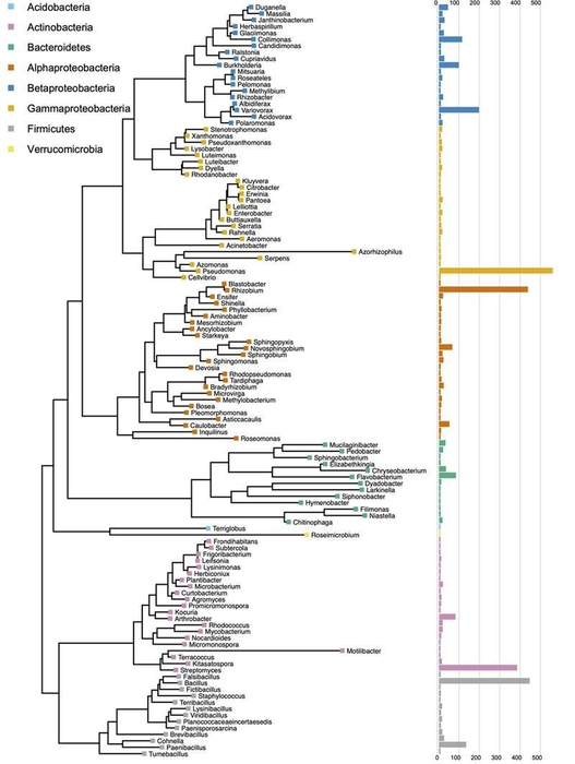 Cultivating the microbiome of populus tree ro | EurekAlert!