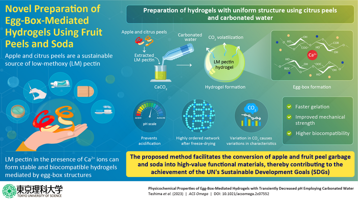Preparation of environmentally friendly hydrogels with fruit peel ingredients and carbonated water
