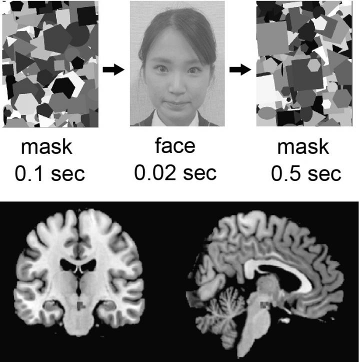 Figure Image Eurekalert Science News Releases