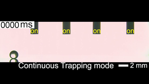 Continuous trapping mode of the DEST