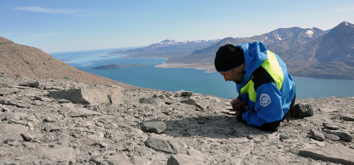 Grzegorz Niedzwiedzki Collecting Fossils in East Greenland