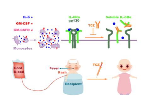 Inflammatory monocytes promote pre-engraftment syndrome and tocilizumab can therapeutically limit pathology inpatients