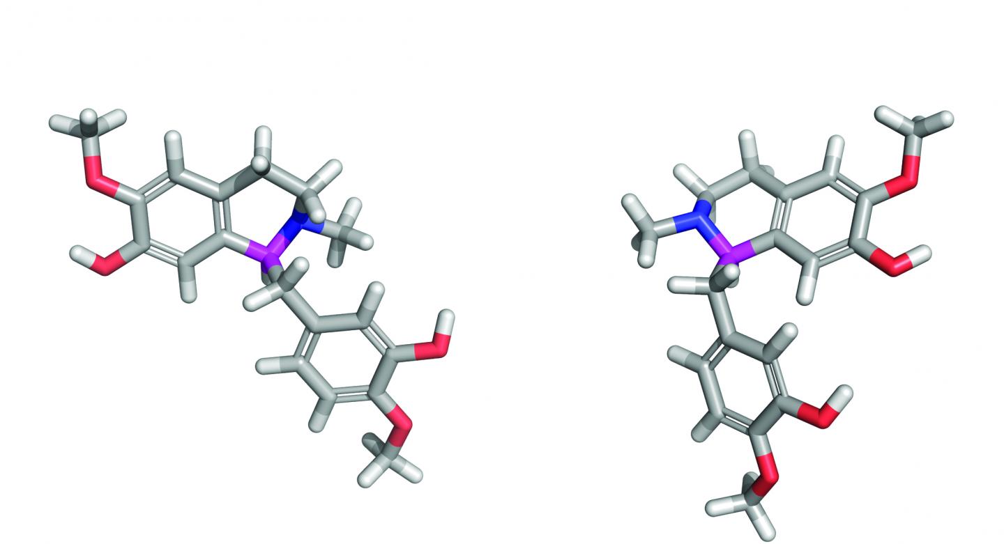 Two Paths to Complex, Plant-Based Medicines