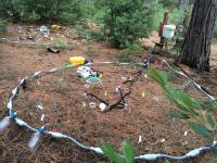 Deep Soil Warming Experiment at the University of California, Blodgett Forest Research Station