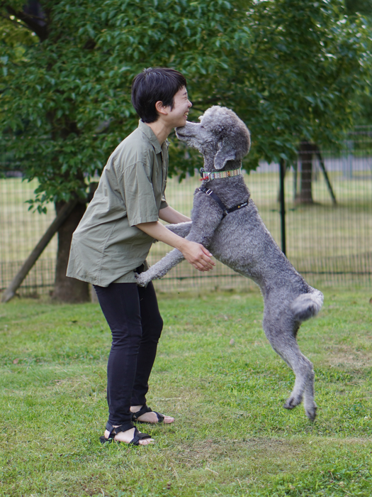 Dogs cry more when reunited with their owners EurekAlert!