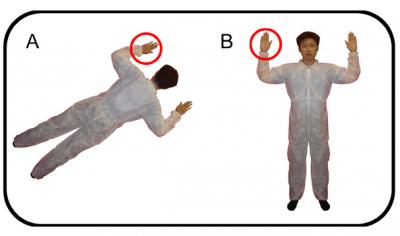 Perspective-Taking Task Stimuli