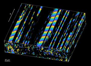 Metachronal wave