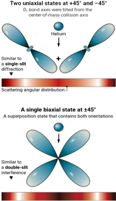 Experts Deliver a Perspective of Quantum Interference in Molecular Collisions