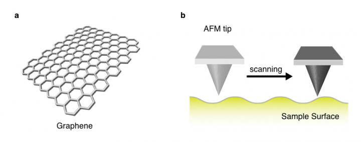 Images of Graphene and Atomic Force Microscopy Scanning