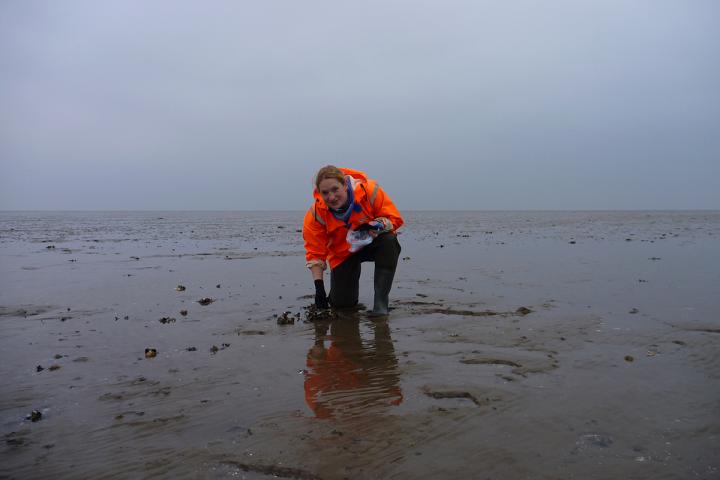 Jennifer Welsh during field work at the Wadden Sea