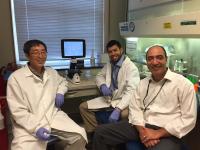 Experimental Drug Could Stop Melanoma, Other Cancers, Research Suggests (1 of 3)