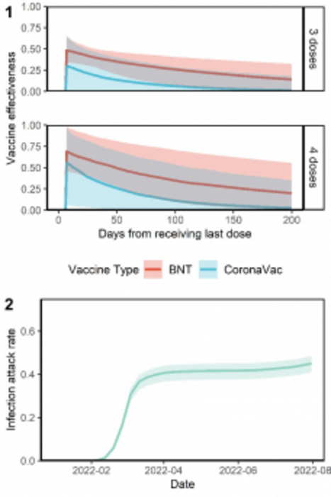 estimated vaccine effectiveness