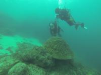 Coring a Massive Coral Porites in Guam