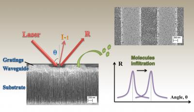 'Spongy' Silicon Biosensor 