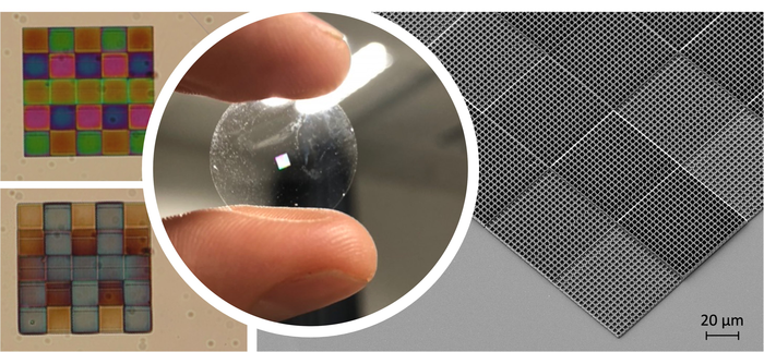 The 3D-printed microscopic gas sensor