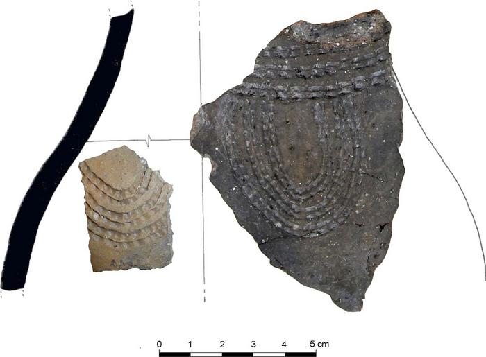 Direct evidence found for dairy consumption in the Pyrenees in the earliest stages of the Neolithic