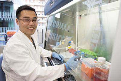 Dr. Tommy Liu, Walter and Eliza Hall Institute