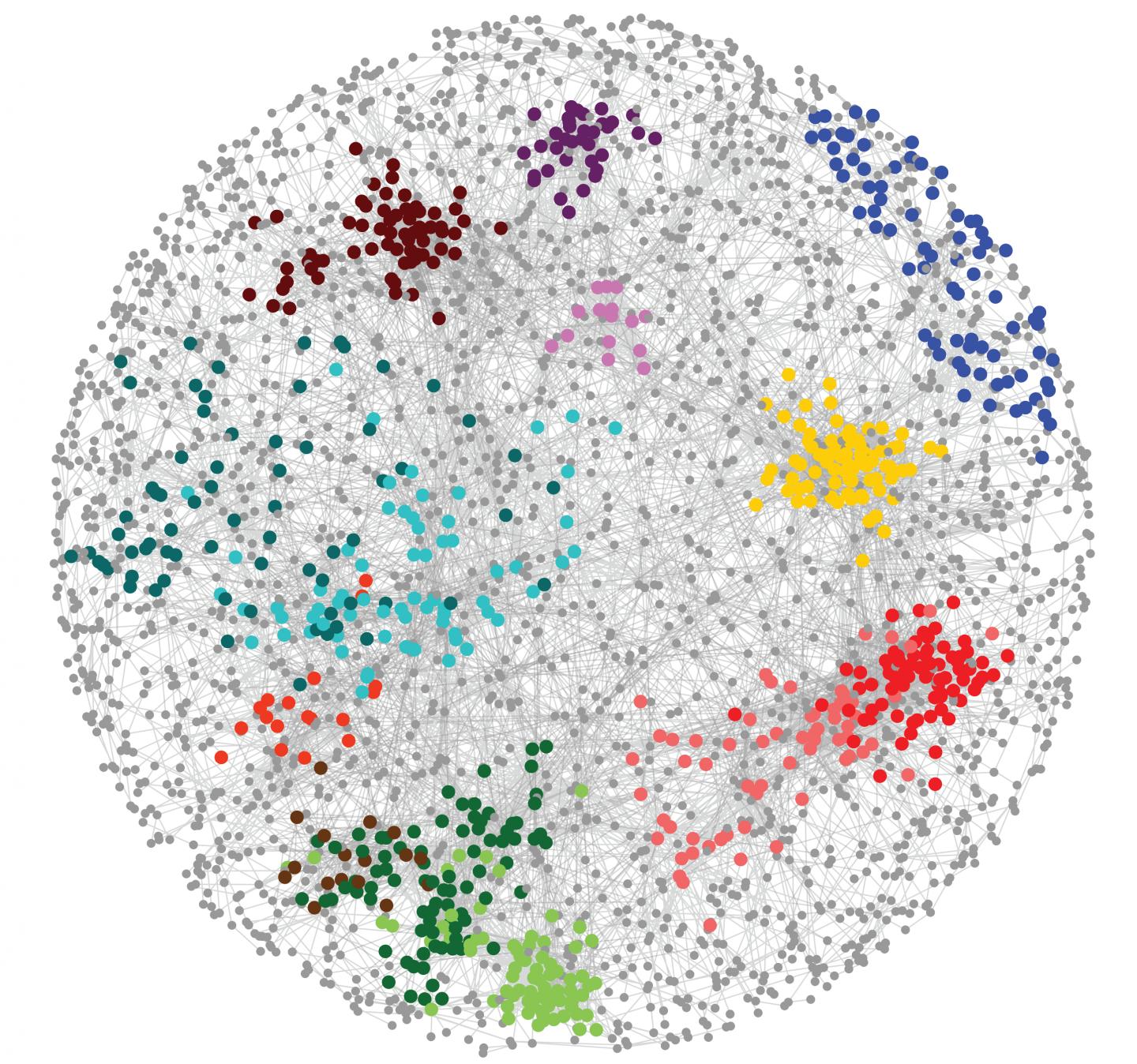 Global Genetic Landscape Of The Cell