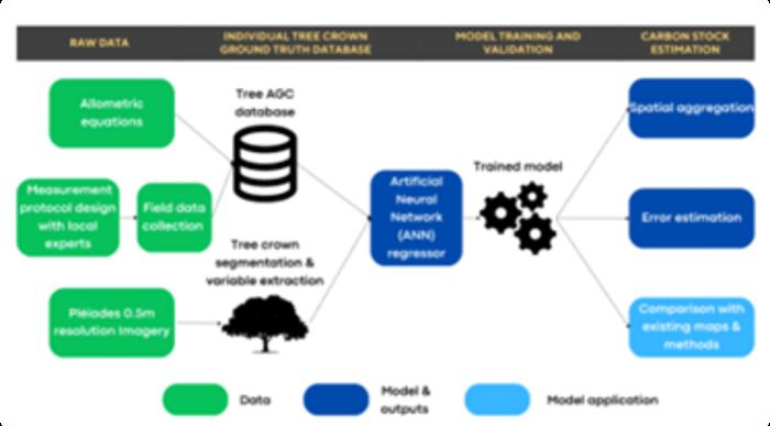 Flowchart of the methodology for the AGC estimation at individual tree level.