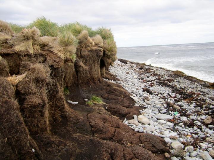 deep peat deposits