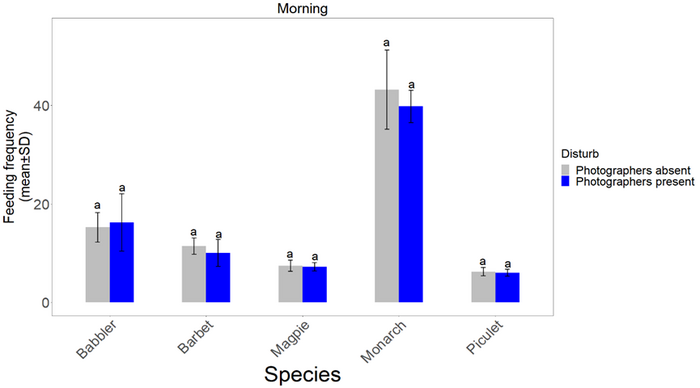 The feeding frequency of five bird species in the morning with photographers absent (grey column) and present (blue column).