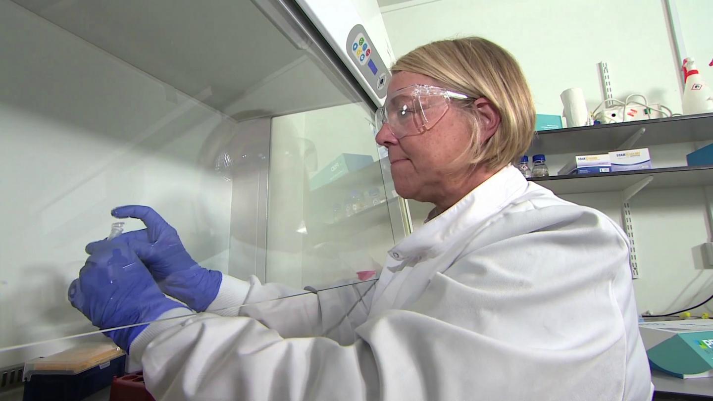 Conducting the Actiphage Test