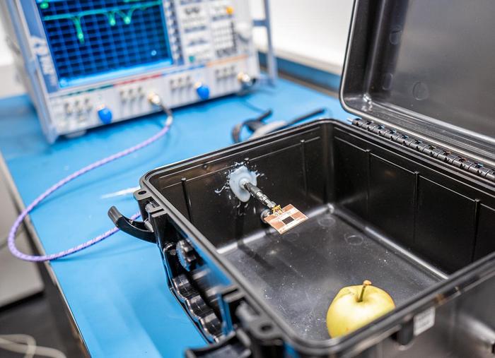 An antenna meets a rotting apple