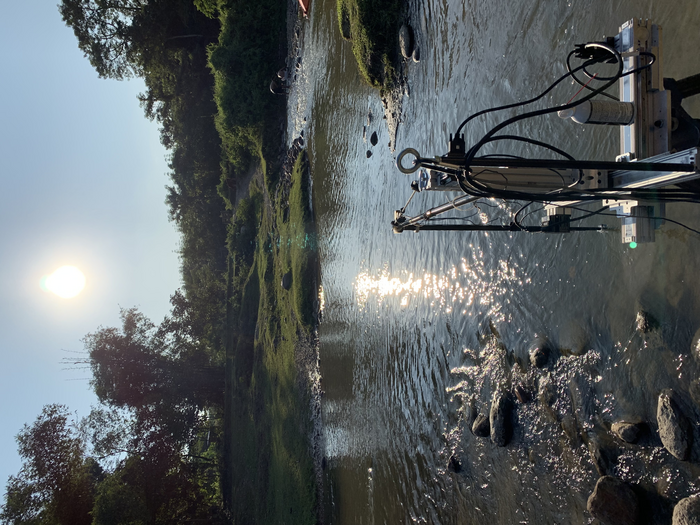 Zebrafish native habitat in Niz Udalguri, India