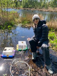 Measuring VOCs in a Danish forest