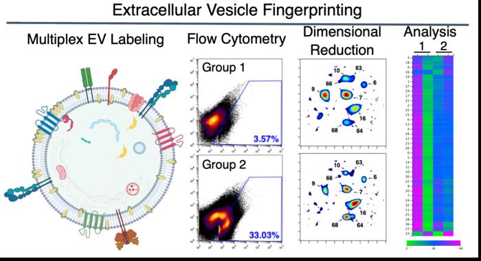 Extracellular Vesicle Fingerprinting