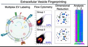 Extracellular Vesicle Fingerprinting