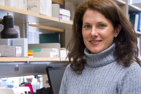 Virginia Borges, MD, MMSc, University of Colorado Anschutz Medical Campus 