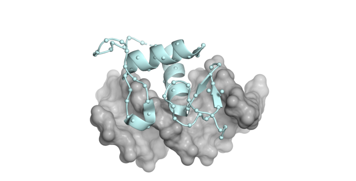 Steroid receptor structure