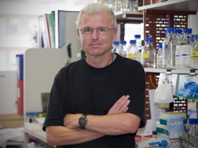 Professor Andreas Strasser, Walter and Eliza Hall Institute