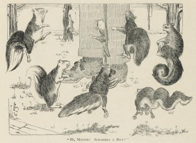 Squirrels on Campus, 1903