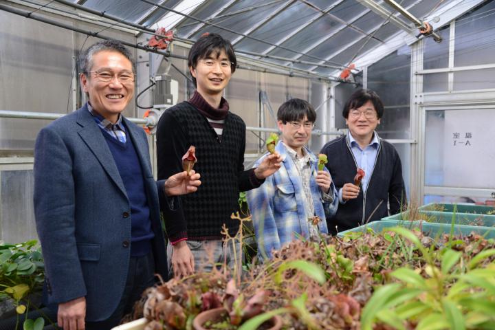 Mitsuyasu Hasebe, Kenji Fukushima, Dr. Hironori Fujita, and Masayoshi Kawaguchi, National Institutes