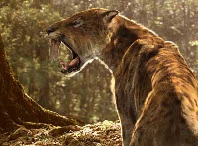 The Extinct Saber-Toothed Cat