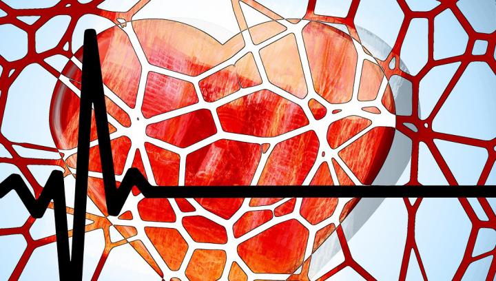 Cardiovascular Disease and Multimorbidity: 3 New Studies Open a Special Issue of Plos Medicine