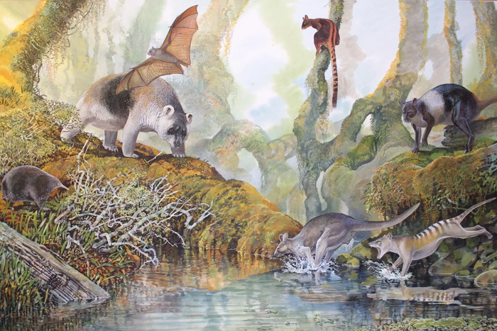 Artist's impression of Nombe Rockshelter megafauna