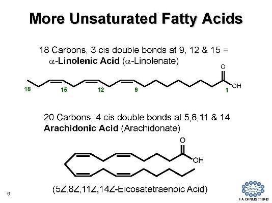 More Unsaturated Fatty Acids