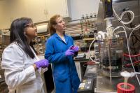 Maren Wehrs and Aindrila Mukhopadhyay, DOE/Lawrence Berkeley National Laboratory