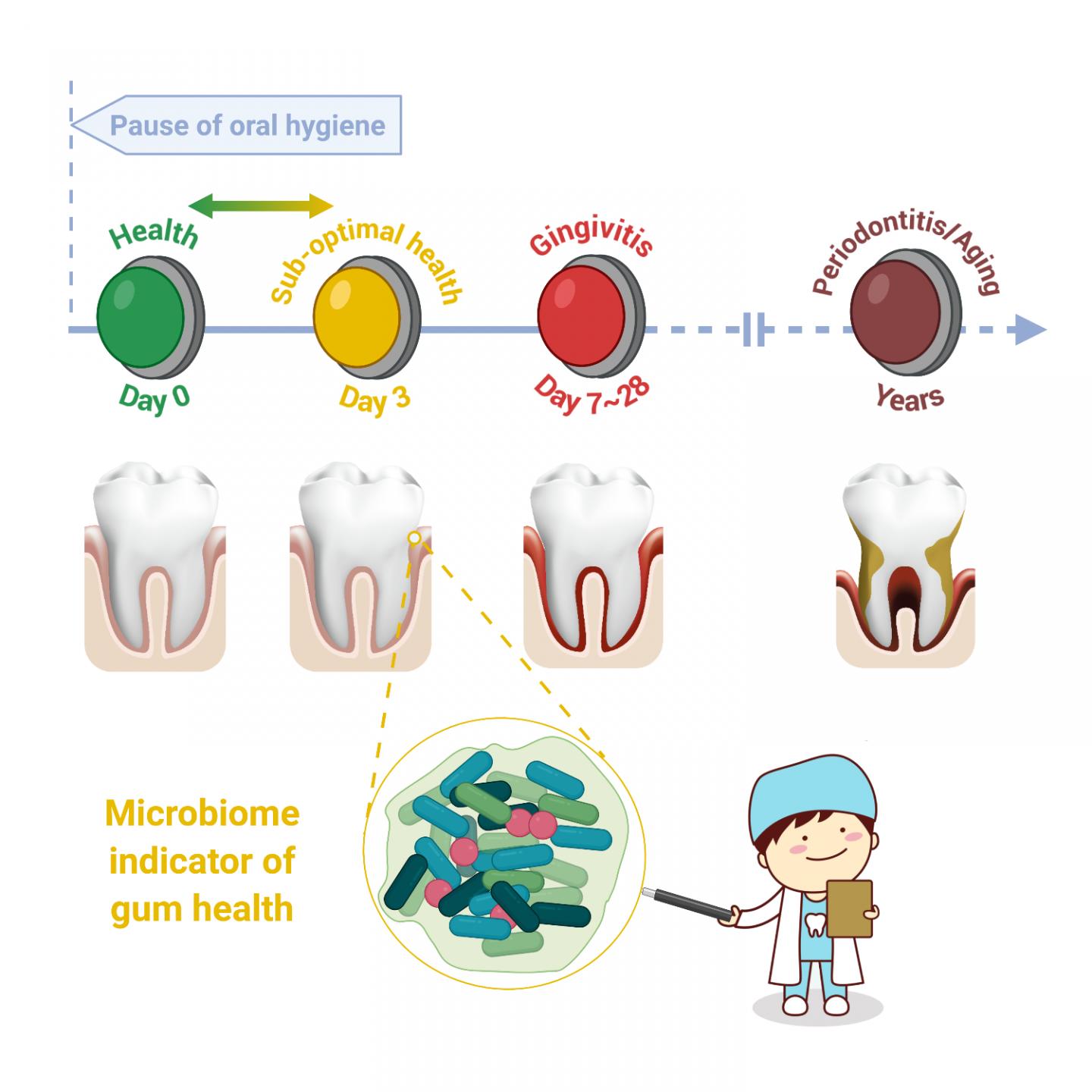 new-study-shows-24-72-hours-of-poor-oral-hygiene-impacts-oral-health