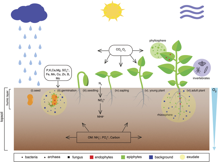 the-strength-of-new-tools-in-microbiome-studi-eurekalert