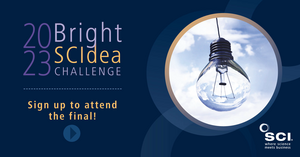 Bright SCIdea Final 2023