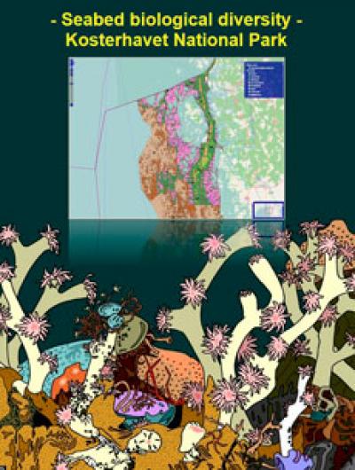 Seabed Biological Diversity