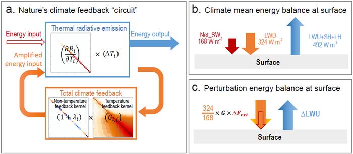 Illustration of nature’s climate feedback “circuit”