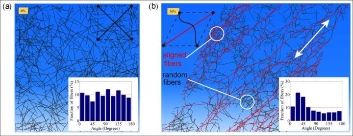 Fiber Simulations