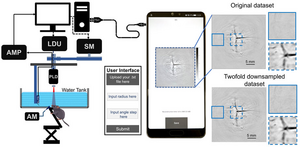 Experimental pulsed laser diode based in vivo PAT imaging system.